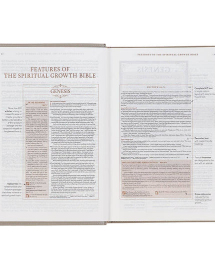 Embroidered Taupe Faux Leather Spiritual Growth Bible