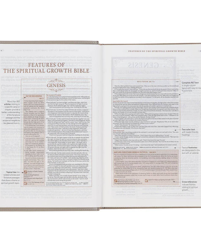 Embroidered Taupe Faux Leather Spiritual Growth Bible