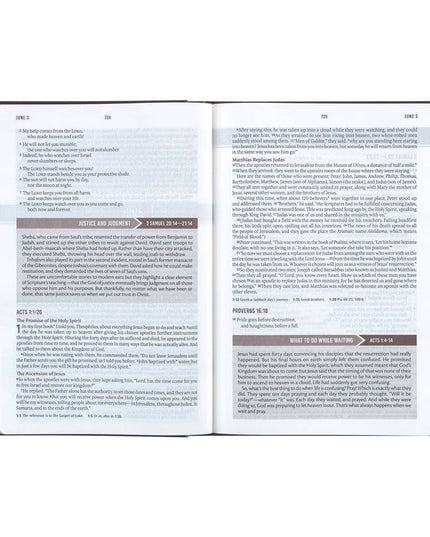 Devotional Bible NLT for Men Faux Leather Walnut Brown Cross