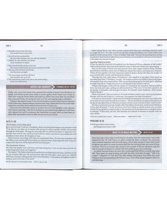Devotional Bible NLT for Men Faux Leather Walnut Brown Cross