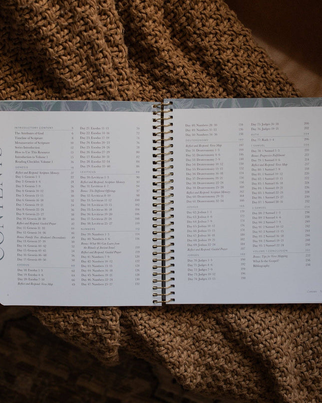 A Year in the Bible | Volume 1 Bible Study