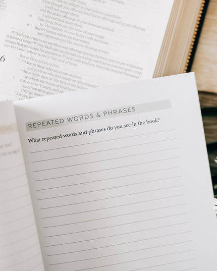 Book by Book | A Bible Study Companion