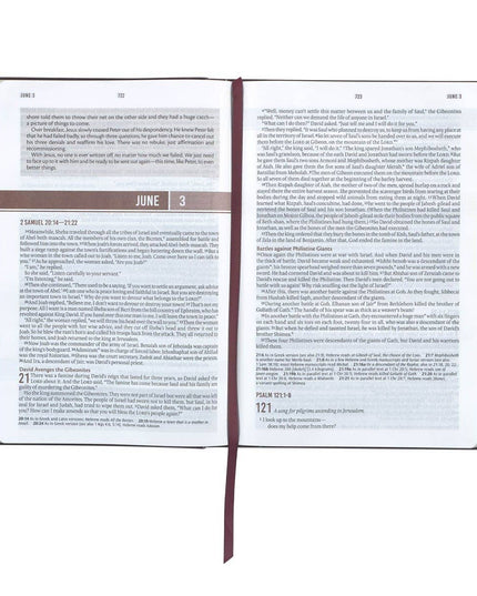 Devotional Bible NLT for Men Faux Leather Walnut Brown Cross