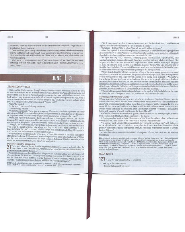 Devotional Bible NLT for Men Faux Leather Walnut Brown Cross
