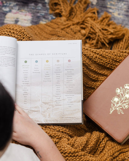 The Bible Handbook: A Book-by-Book Guide to the Entire Bible