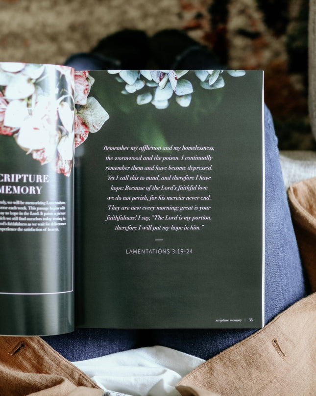 Between Grief and Glory Bible Study