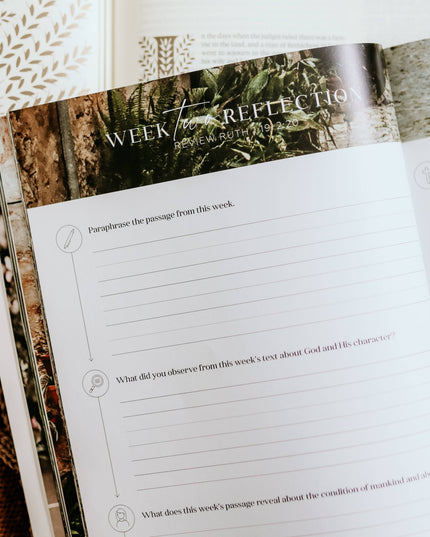 Ruth Study | Fields of Grace
