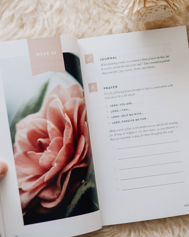 Fix Your Focus | A 52-Week Guide to Help You Put God First