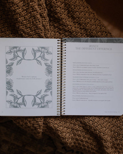 A Year in the Bible | Volume 1 Bible Study