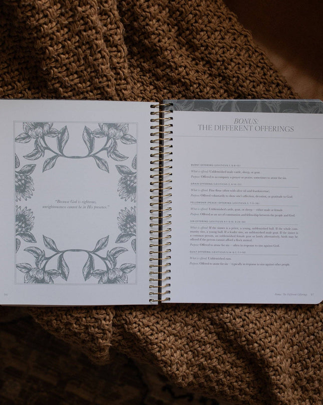 A Year in the Bible | Volume 1 Bible Study