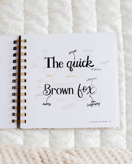 Daily Grace Scripture Lettering Workbook