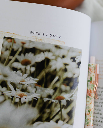 Even If | A Study of Habakkuk