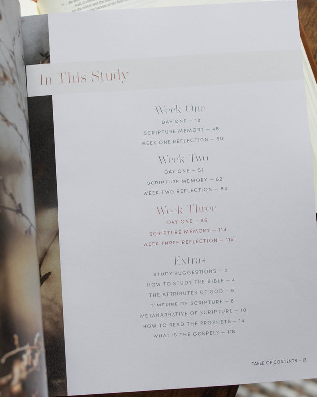 Restored | A Study on the Book of Joel