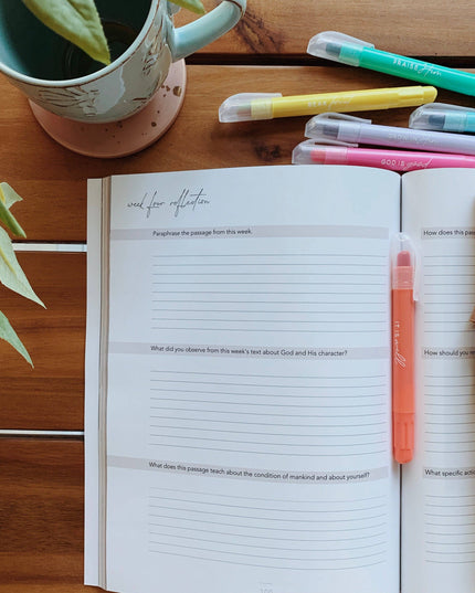 Colossians Bible Study | Rooted in Him