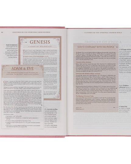 NLT, The Spiritual Growth Bible Faux Leather, Pink