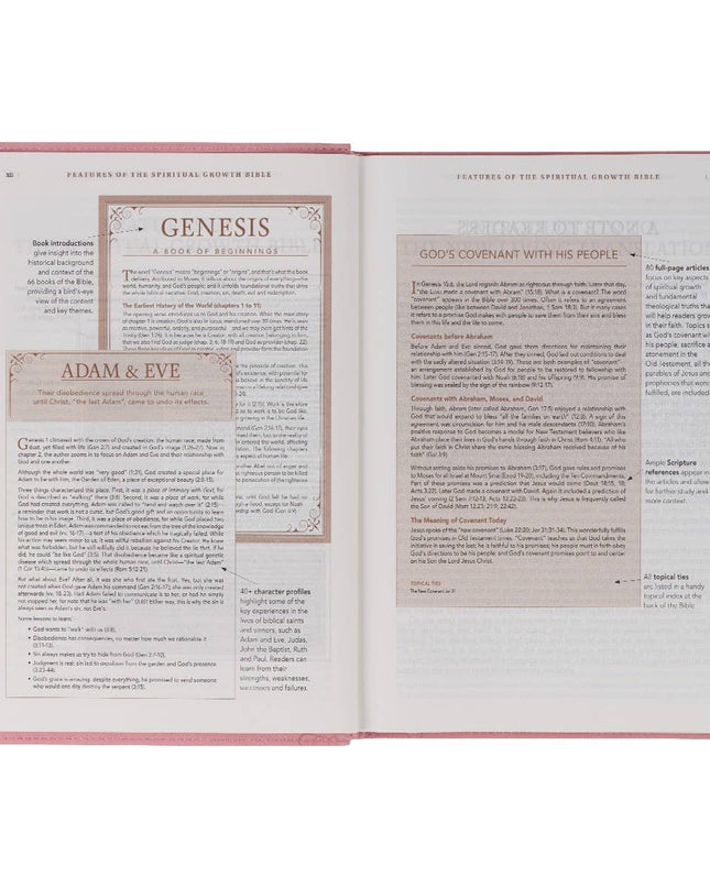 NLT, The Spiritual Growth Bible Faux Leather, Pink