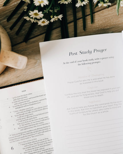 Book by Book | A Bible Study Companion