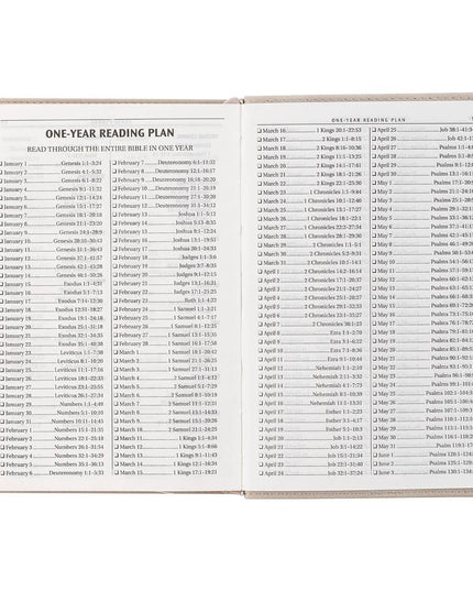 KJV Bible Compact Faux Leather, Taupe