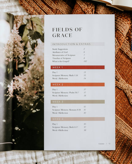 Ruth Study | Fields of Grace
