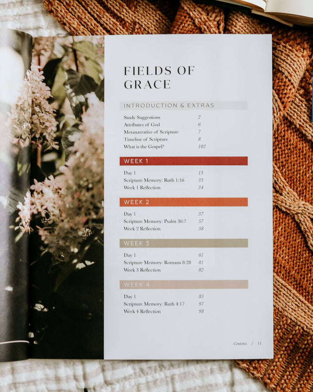 Ruth Study | Fields of Grace